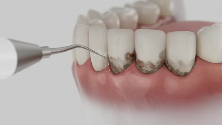 Reliable Dental contractor in Gordon, PA by Dentist Open Now